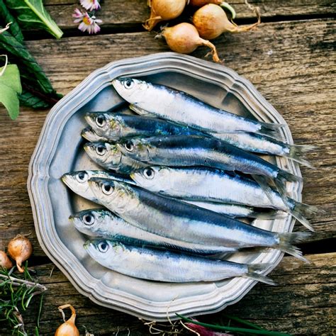 picture of sardine fish